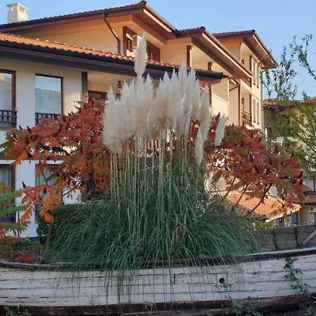 Sea Paradise Apartment